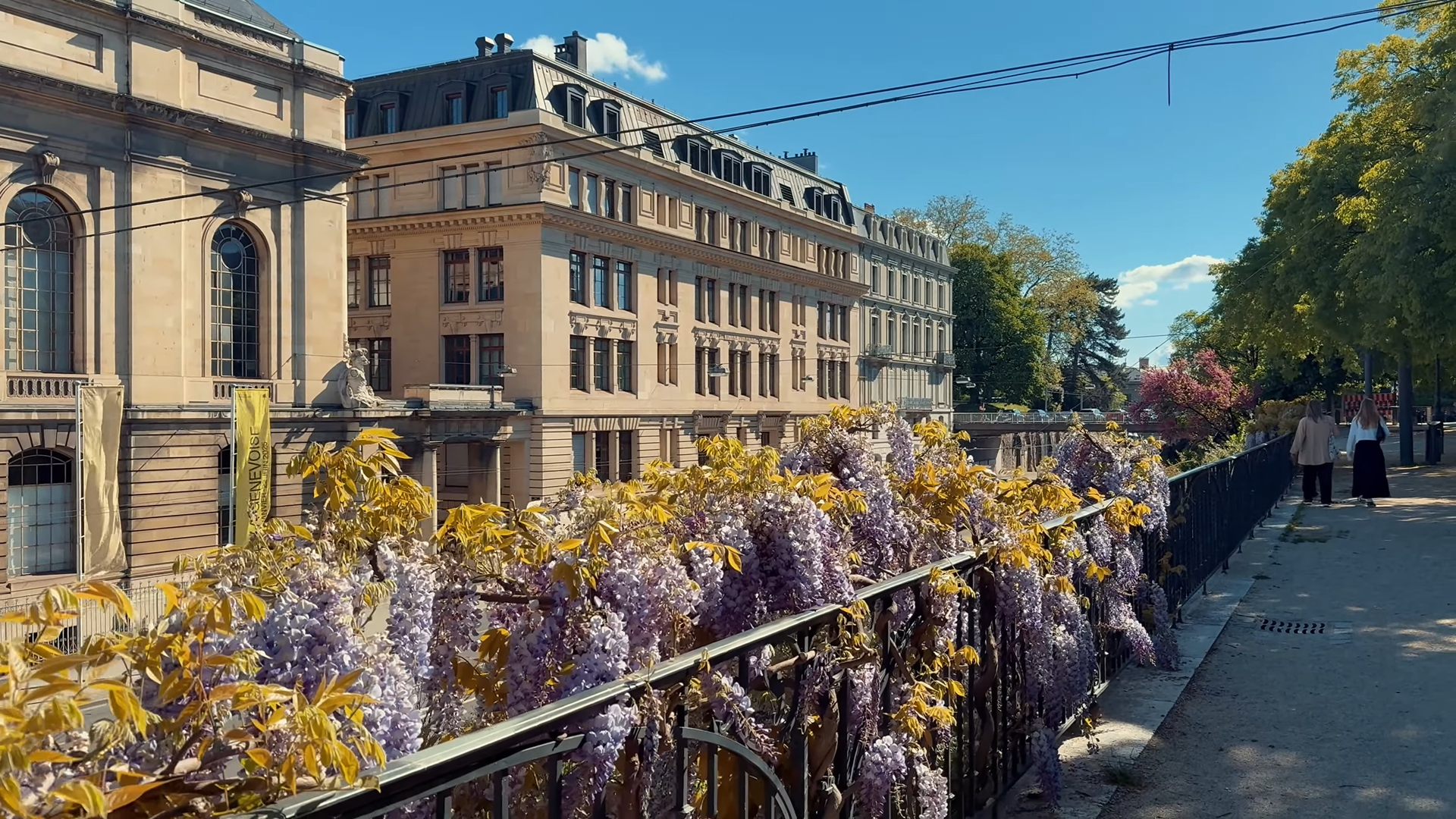 Spring walkway with wisteria in Geneva